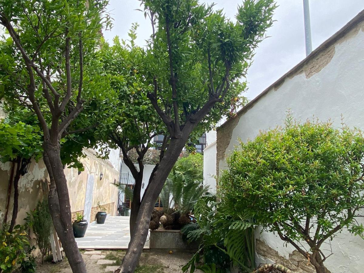 Casa Palacio Anima Jerez de la Frontera Ngoại thất bức ảnh